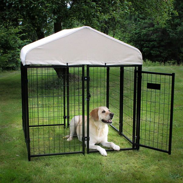 chenils pour chien